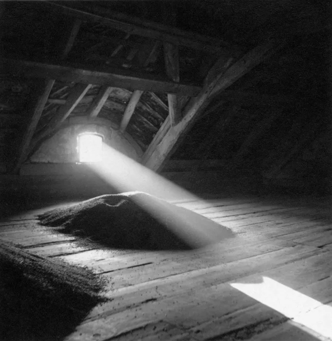 Gross-Breesen, an agricultural training farm for Jewish youth was established on the Germany/Poland border before the outbreak of World War II. Source: a mix of original photos taken at Gross Breesen, exhibition: "Learning Seeds": New exhibit tells remarkable story of holocaust-era agricultural training farm.